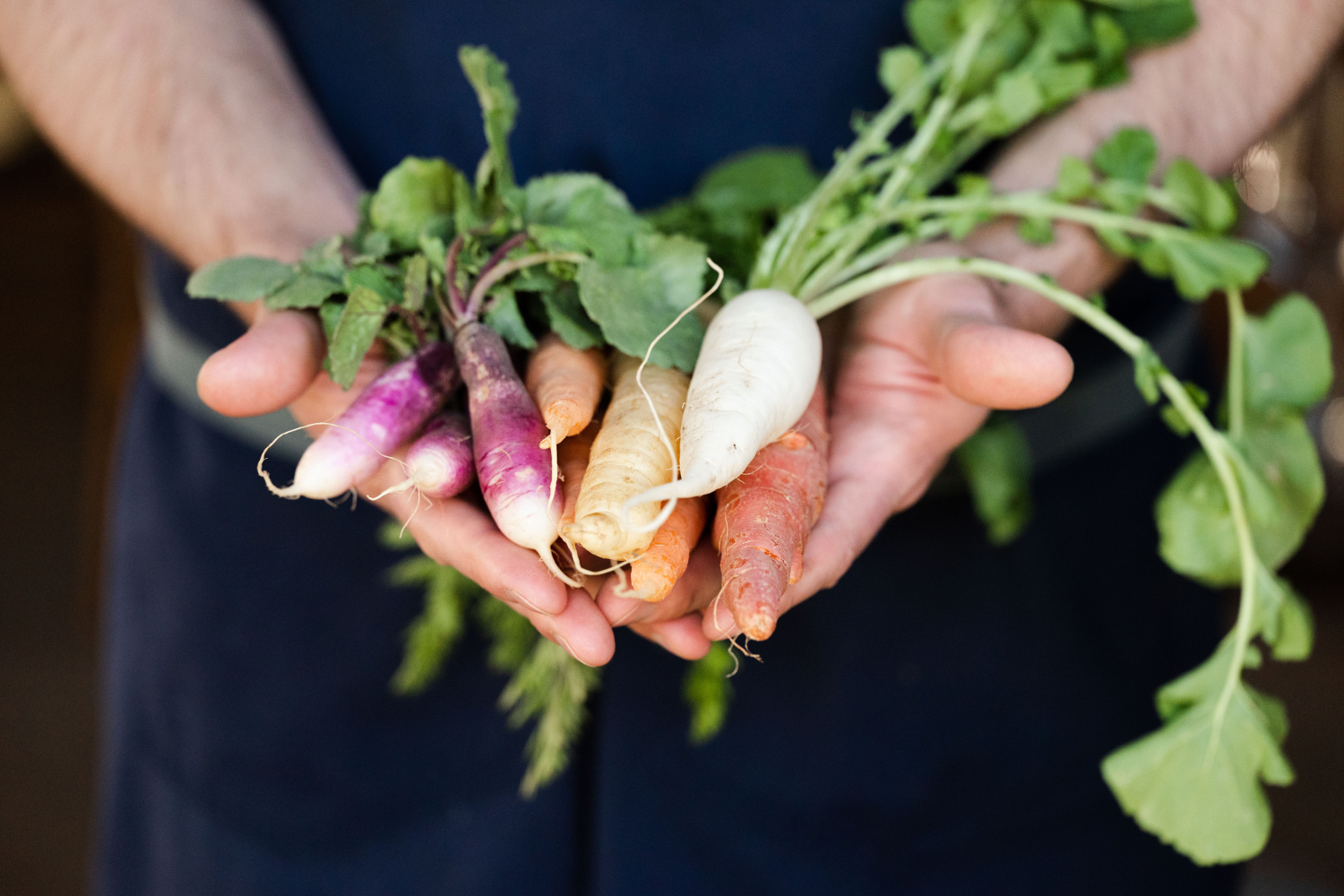 The Government of Canada invests over $1.2 million to grow Yukon’s food systems